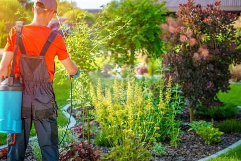 The Best Tips For New Gardeners