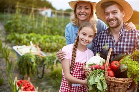 Gardening Tips For August - Things to Do in the Garden in August