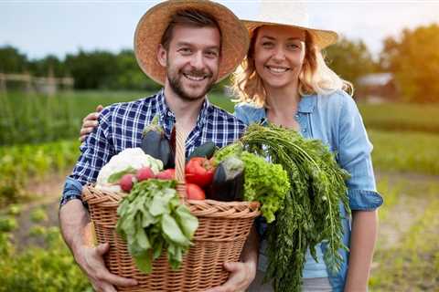 Can You Grow Vegetables in Pots?