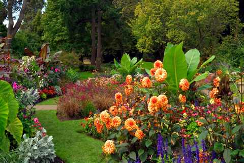 Things to Do in the Garden in September