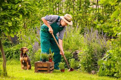 Charles Dowding - The No Dig Gardener