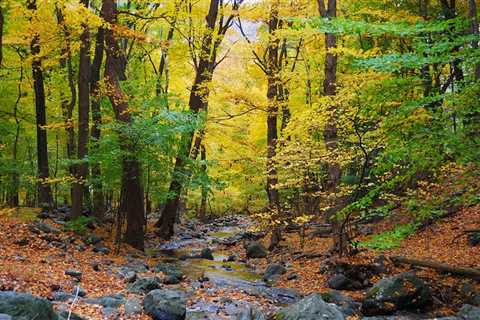 Best Hiking in Pennsylvania