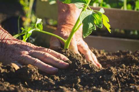 Handy PP Pipe Gardening Hacks