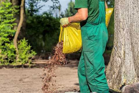 Different Types of Mulch For Gardens