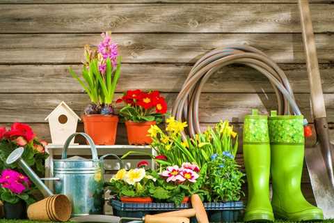 The Benefits of Free Vegetable Gardening Courses