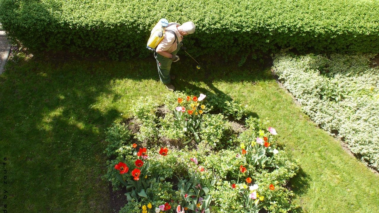 Gardening Jobs For March - A March Gardening Checklist