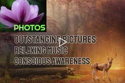 Relaxing Video With Nature Pictures And Focus Music | Conscious Awareness in Self Mastery