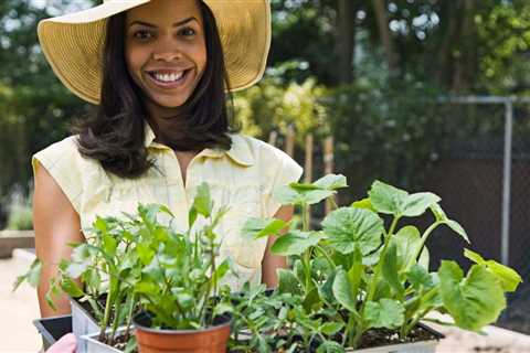 How to Grow Sweet Peas in Pots