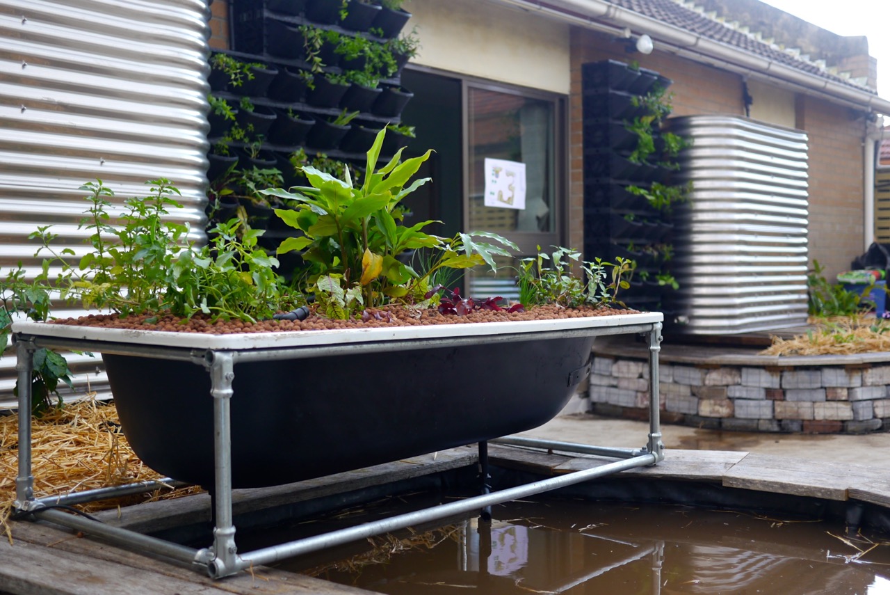 How to Make an Aquaponics Grow Bed