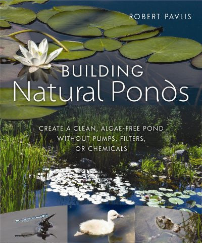 How to Build an Aquaponics Pond