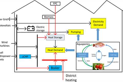 How to Do Aquaponics Without Electricity