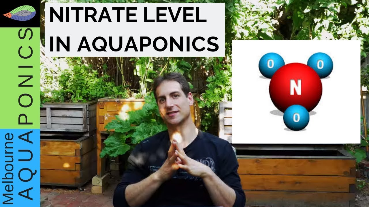 Aquaponics - How Much Nitrate Does an Aquaponics System Need?