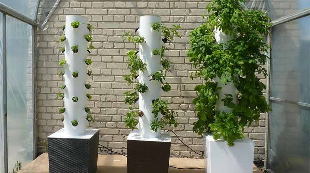 What Do You Need For Hydroponic Gardening?