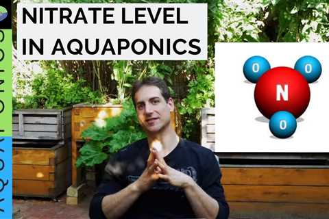 Aquaponics - How Much Nitrate Does an Aquaponics System Need?