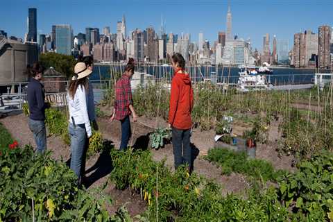 What is the purpose of urban farming?