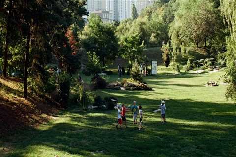 How do urban forests work?