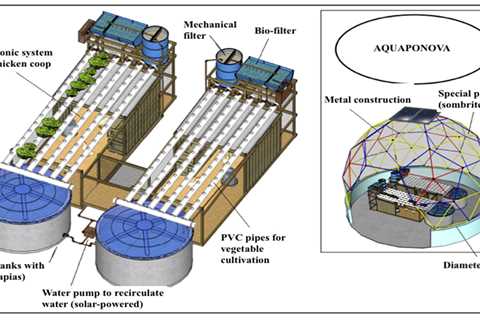 Benefits of Aquaponics Without Plastic