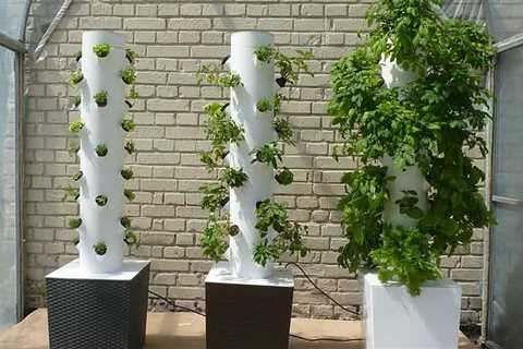 What Do You Need For Hydroponic Gardening?