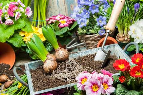 Types of Gardening Covers