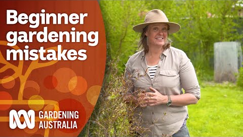 Follow these tips to avoid beginner gardener mistakes | Gardening 101 | Gardening Australia