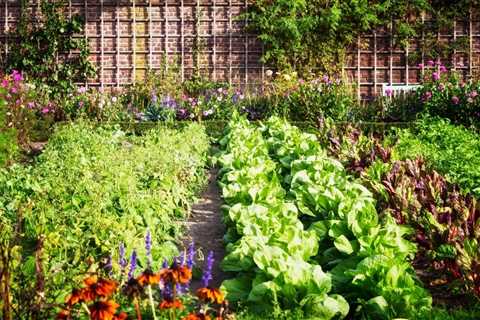 How to Plant Sustainable Vegetable Gardening Methods