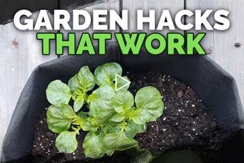 5 Gardening Tips and Ideas that Actually Work