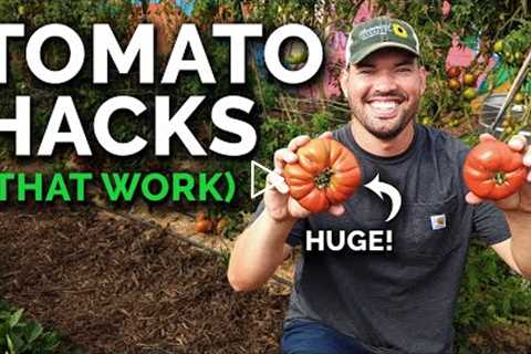 9 Tomato Growing Tips (That Actually Work)