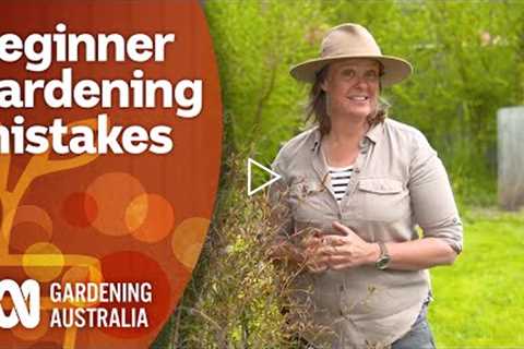 Follow these tips to avoid beginner gardener mistakes | Gardening 101 | Gardening Australia