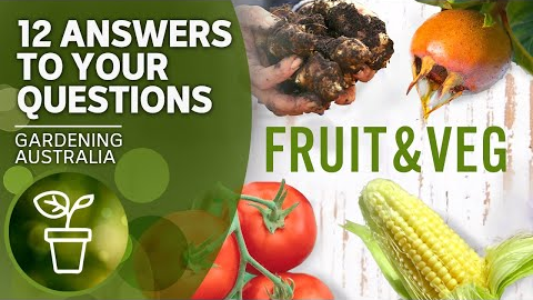 Tips for growing fruit and vegetables | Your questions, our answers | Gardening Australia