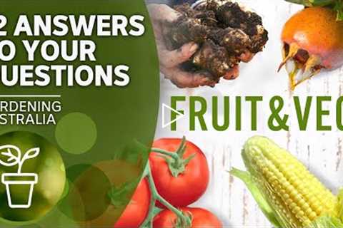 Tips for growing fruit and vegetables | Your questions, our answers | Gardening Australia