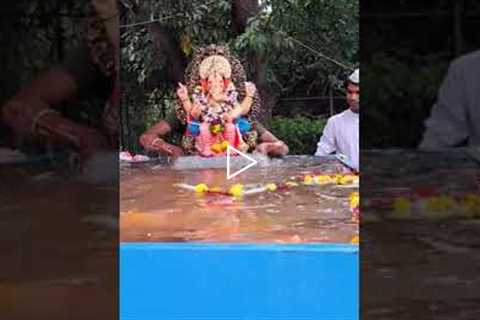 Ganesh Visarjan