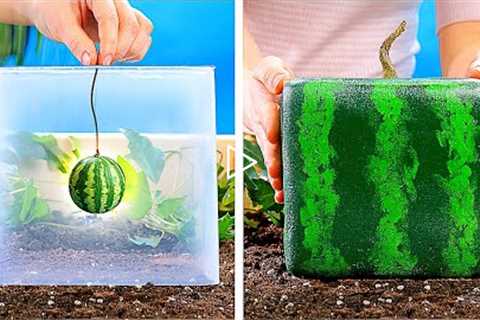 21 AMAZING PLANTS IDEAS || DIY Gardening Tricks You Should Know