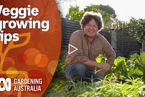 How to maximise your vegetable gardens produce year-round | Gardening 101 | Gardening Australia