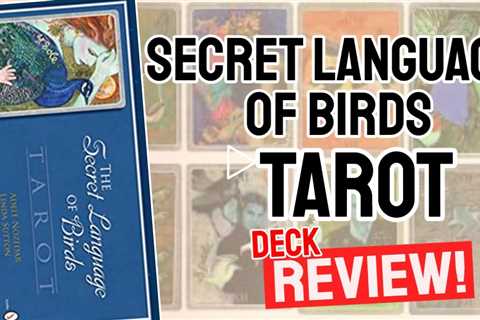 Secret Language of Birds Tarot Review (All 78 Secret Language of Birds Tarot Cards REVEALED!)