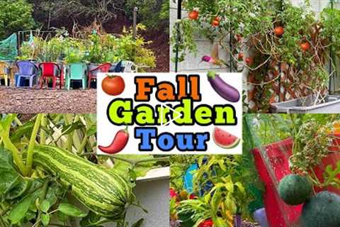 How to Grow a Fall Garden, TIPS on Container Gardening Vegetables Tomatoes Squash Collard Cucumbers