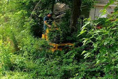 We Did A FREE Lawn Cleanup For A RETIRED MILITARY WOMAN