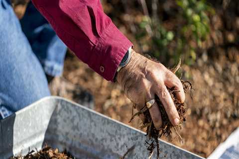 Will mulch control weeds?