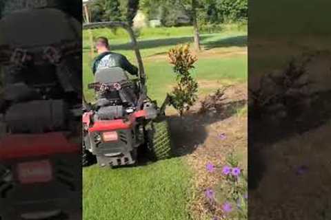 How Not to Mow Grass