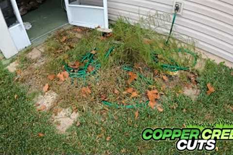 Cleaning Overgrown Patio You Could Barely See Anymore