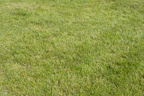 Lawn Maintenance Tips – What to Do Before Winter Comes