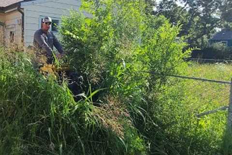 NEIGHBOR Said HOME Is ABANDONED and Full Of SQUATTERS - SEVERELY OVERGROWN LAWN TRANSFORMATION