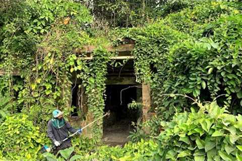 OVERGROWN grass mowing cut COVERING the house abandoned WEIRD IDEA to create an BONSAI on the roof