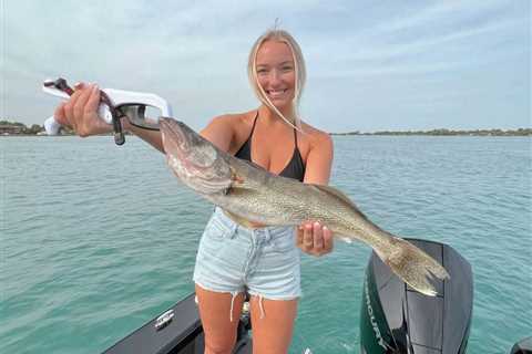 Walleye Fishing in Michigan: The Complete Guide