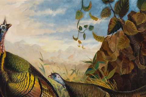 Why is the work of john audubon important?