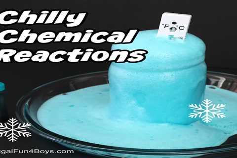 Chilly Chemical Reactions! {Endothermic Reactions}