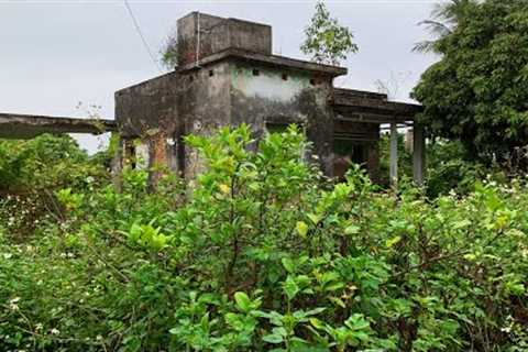 See how we TRANSFORMATION this abandoned house | FREE Lawn Mowing CLEANUP Garbage Collection