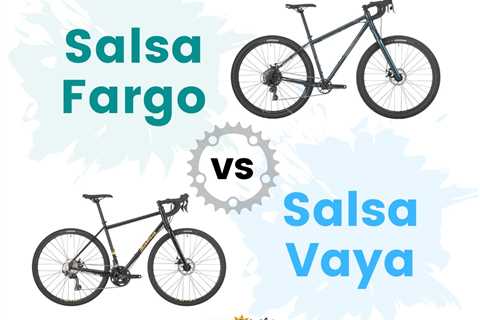 Salsa Fargo vs. Salsa Vaya: Detailed Comparison