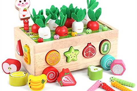 Toddlers Montessori Wooden Educational Toys for Baby Boys Girls Age 2 3 4 Year Old, Shape Sorting..