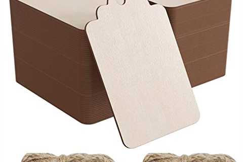 100 Pcs 2.7 x 1.5 Inch Rectangle Blank Wood Tags with Holes with 32.8 Feet Rope for Holiday DIY..