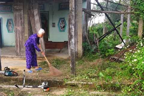 SHOCKING Front yard TRANSFORMATION For Elderly Woman | FREE LAWN MAKEOVER